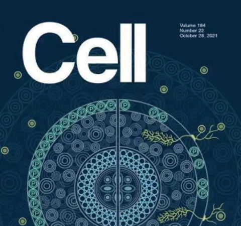 祝賀王二濤老師團(tuán)隊(duì)又一佳作榮登Cell期刊！