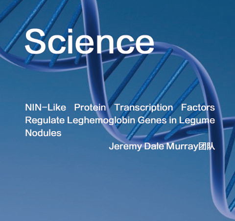 祝賀Jeremy Dale Murray團(tuán)隊(duì)佳作榮登Science期刊！